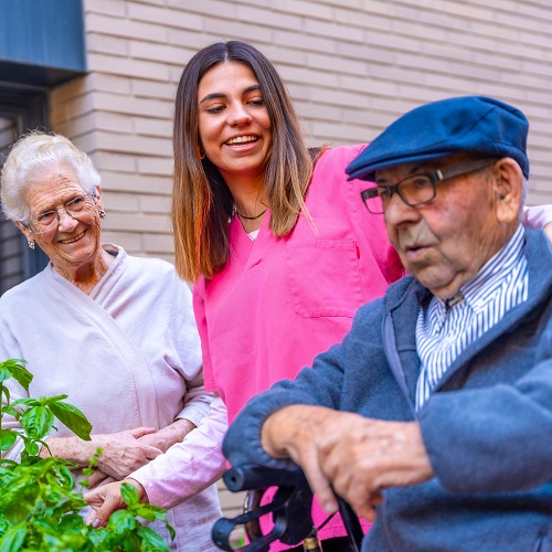 what is assisted living for seniors